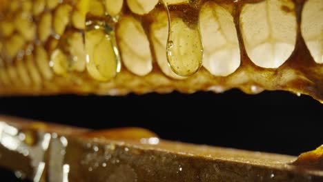 close-up of honey dripping from honeycomb