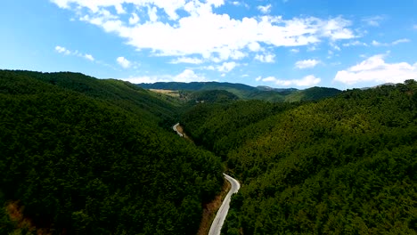 aerial view beautiful forest and road move left. 4k