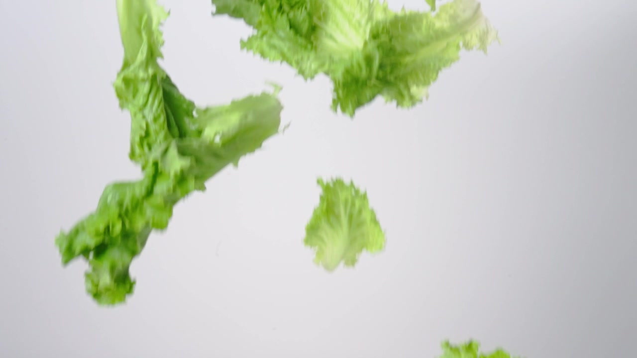Fresh crunchy Green Leaf Lettuce Leaves raining down on a white backdrop in slow motion close up macro.