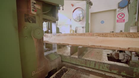 close shot of tree trunk sliding into automated cutting machine