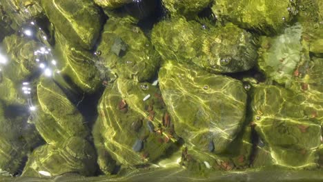 rocks underwater with algae and sunlight