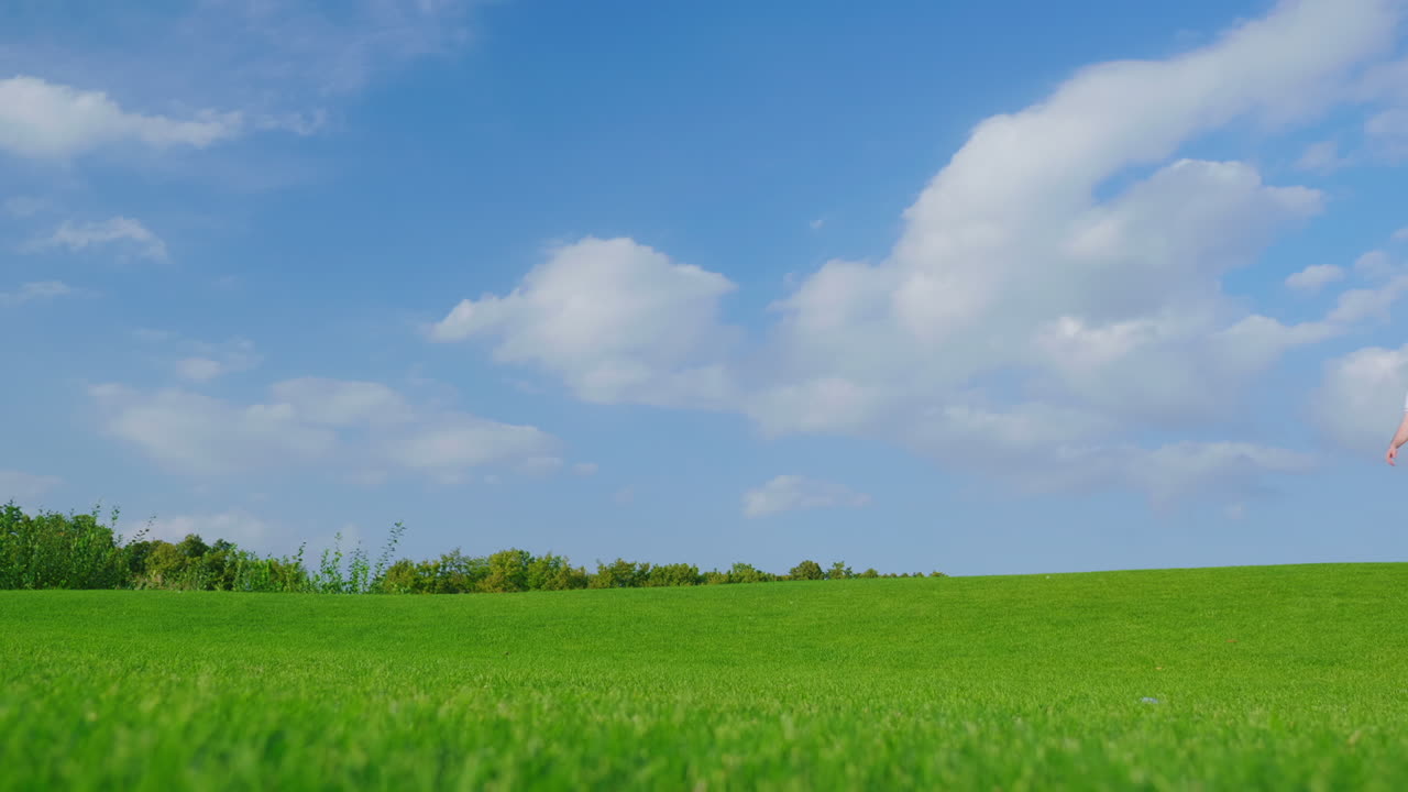 임신한 아내와 남편이 손을 잡고 푸른 초원을 걷고 있다