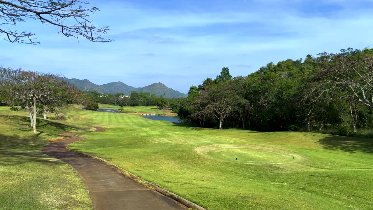 멀리 있는 산들과 함께 울창한 초록색 풍경