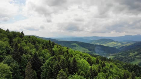 Serene-landscape-of-green-forest-in-Beskid-Sadecki,-Poland,-aerial-view