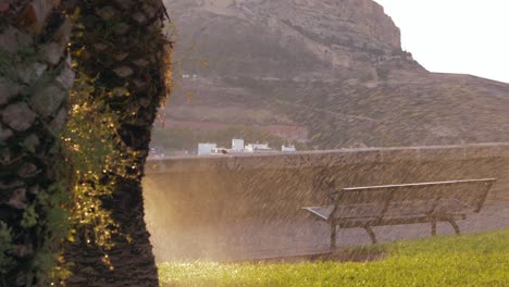 Sprinklers-wet-the-grass-of-a-beautiful-park-with-palm-trees-on-top-of-a-hill-at-sunrise