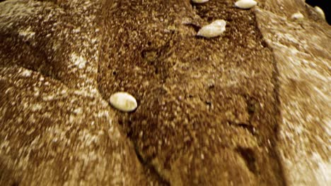 close-up of freshly baked bread