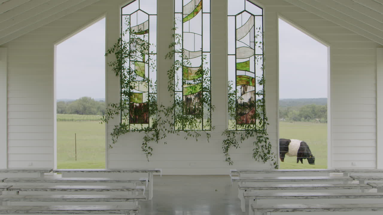 An outdoor wedding ceremony venue features a charming white, rusted barn adorned with stained glass and hanging greenery, set against a backdrop of a farm with a cow peacefully grazing in the pasture.