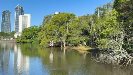 peaceful river with trees and city skyline