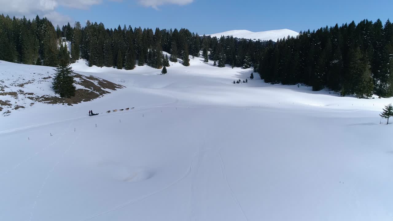 Ampia vista aerea con drone di una slitta trainata da cani in uno splendido scenario montano in inverno