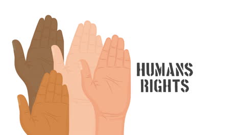 human rights animation with diversity hands