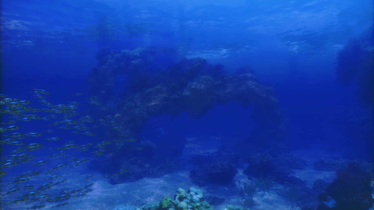 Underwater landscape with coral reef and schools of fish in clear blue water