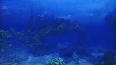 underwater landscape with coral reef and schools of fish in clear blue water