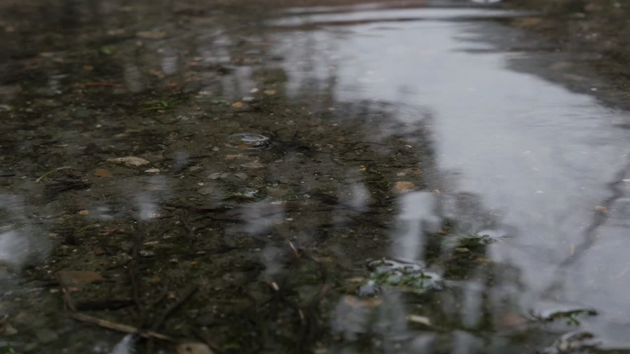 Raindrops falling on a pond close-up 4K