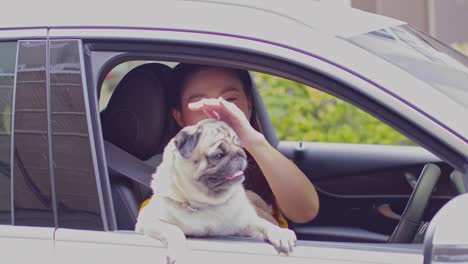 hermosa mujer joven atractiva sonrisa sentada en el coche de confort con lindo perro pug raza. mujer buceo coche confianza y felicidad. mujer asiática conduciendo coche con perro disfrutar de viajar y viajar en vacaciones