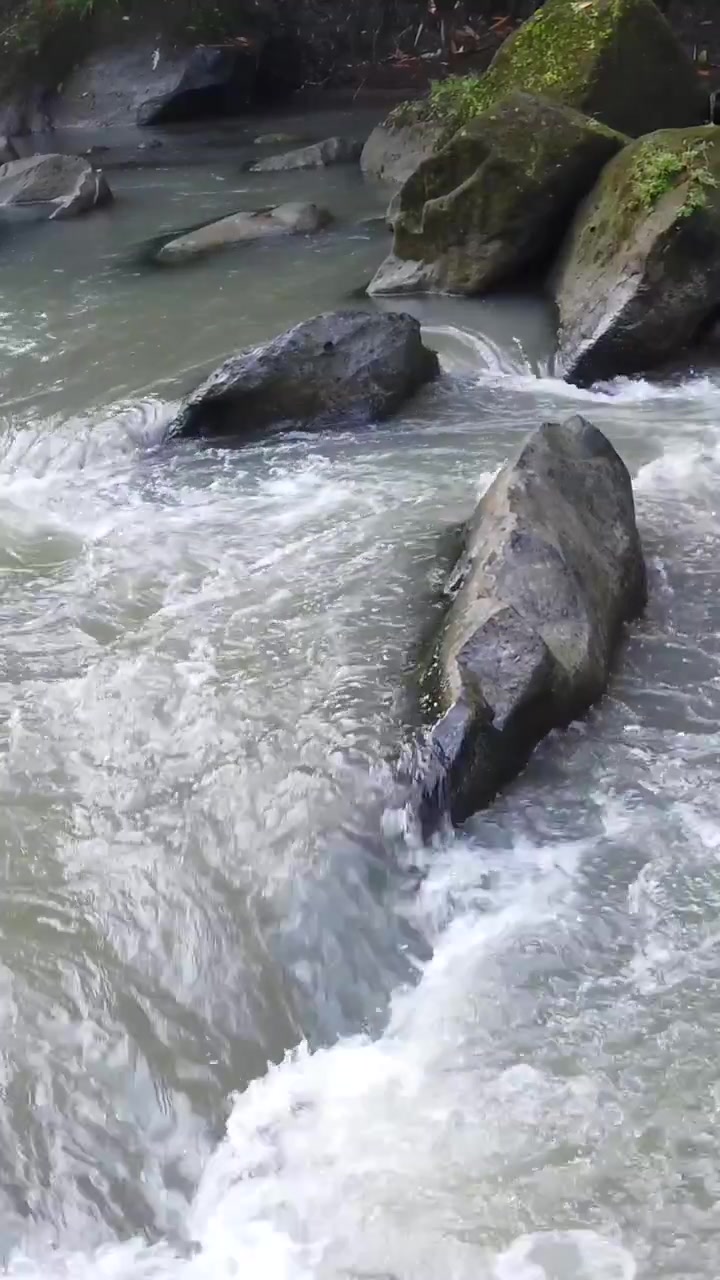 Rapide impetuose di un corso d'acqua dolce lungo pietre muschiose, massi con acqua spumeggiante, Ubud, Bali, Indonesia. Vista verticale.