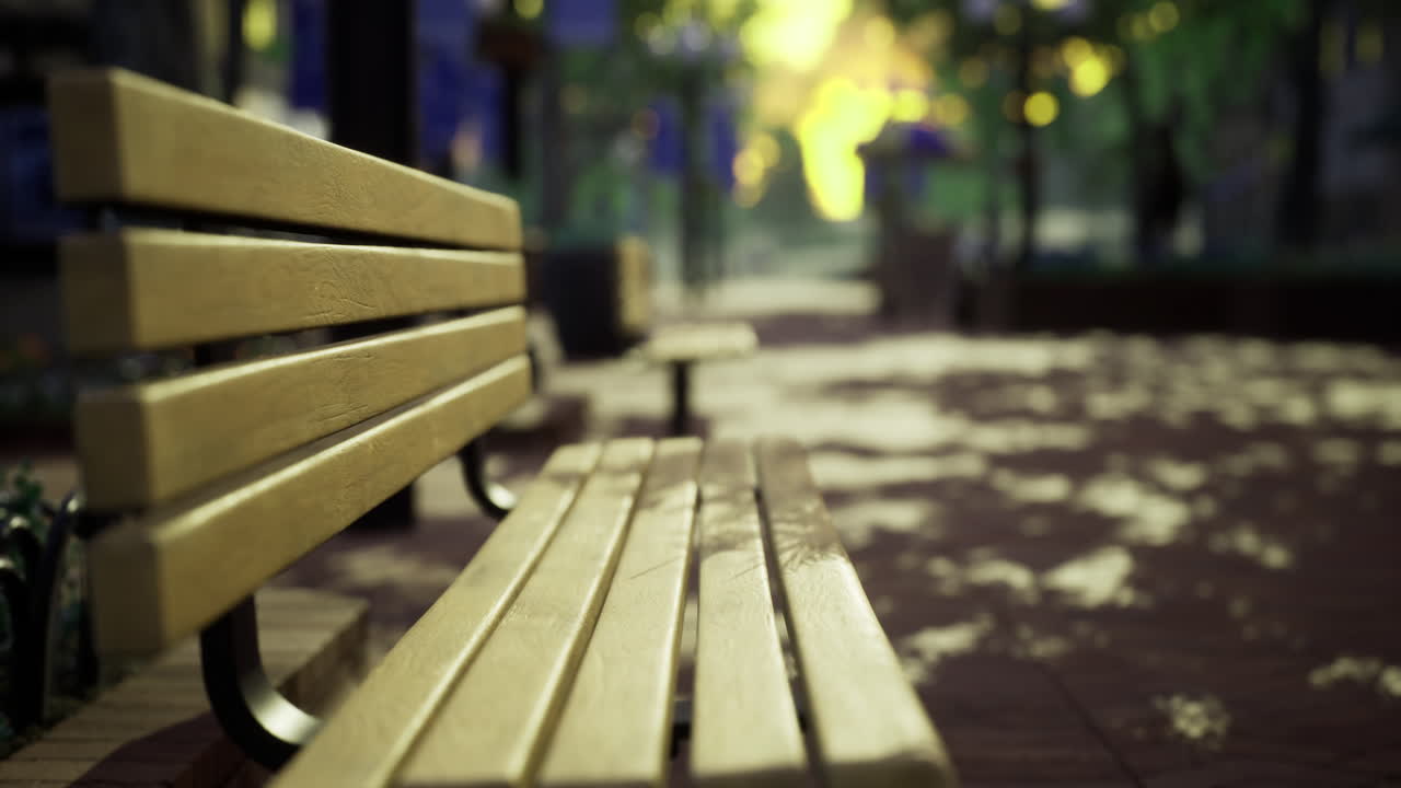 Wooden benches in a serene park setting during the golden hour