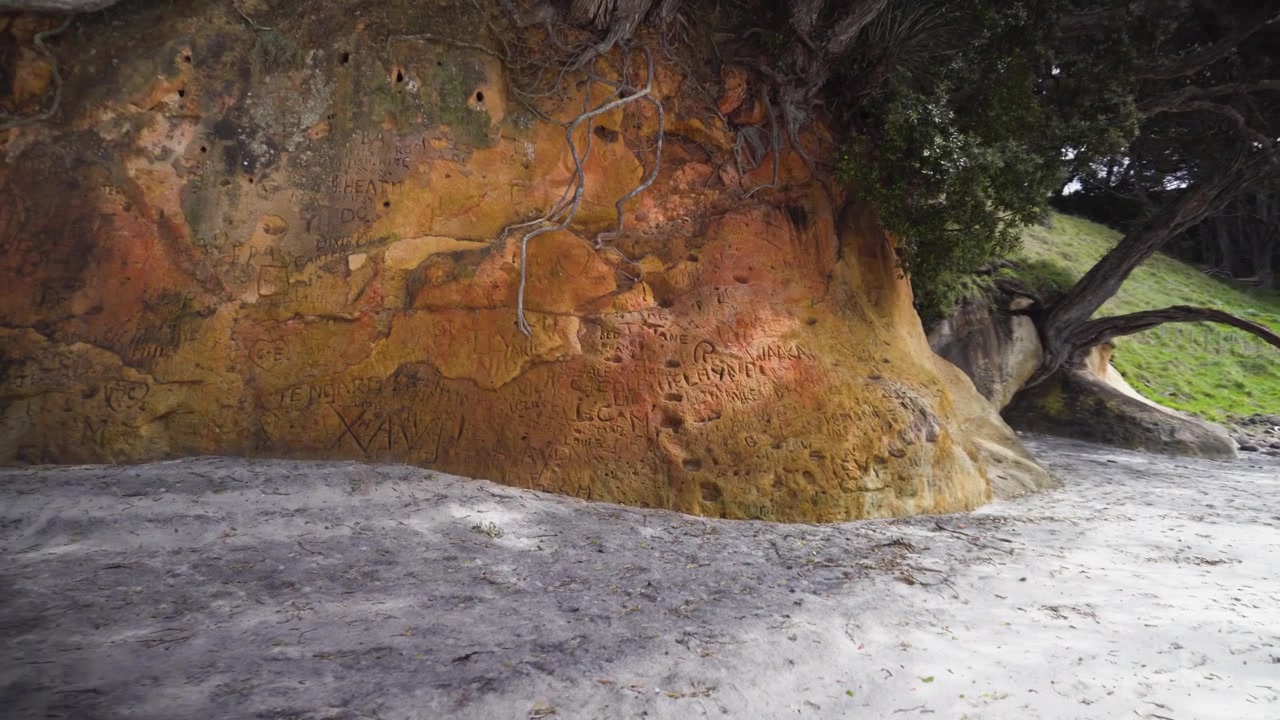 Oceano Indiano, Maroni, Guyane, Guyana, punto di vista, Suriname, Guyana francese, turismo, nuvole, equatoriale, alberi, curve, estate, bello, chioma, indigeno
