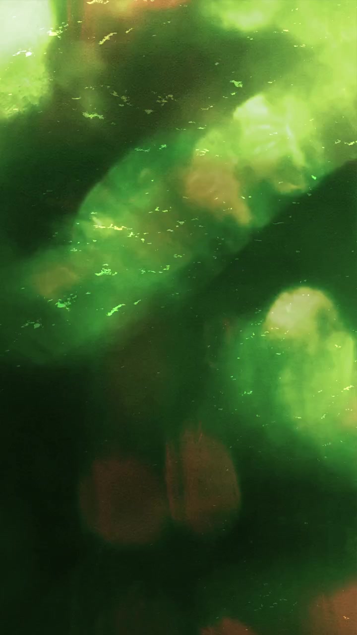 Perdite di luce astratte e transizioni bokeh in rosso e verde