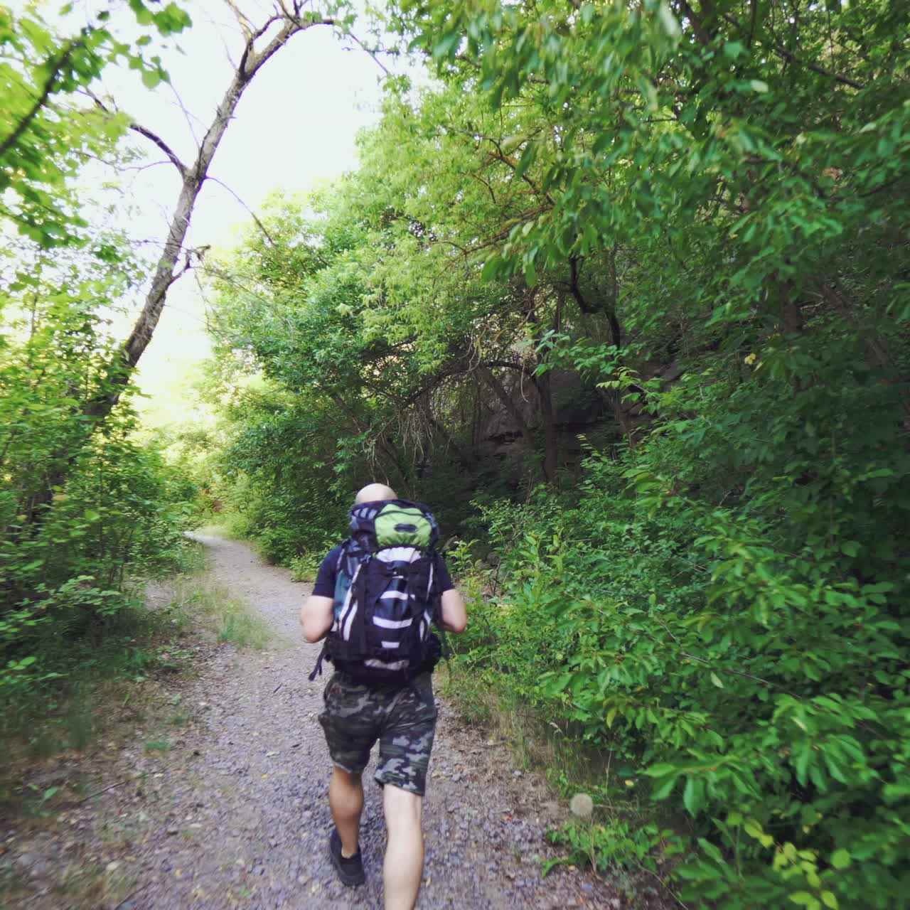 A man with a backpack on his shoulders is climbing up the path against the background of green trees in the summer on a warm day. Tourist in a hike.