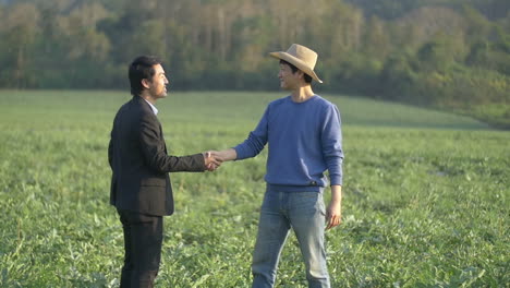 farmer and businessman shaking hands on melon field