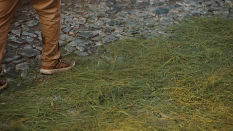 agujas de pino cayendo al suelo, creando una alfombra ornamentada en la calle de antigua el viernes santo en guatemala