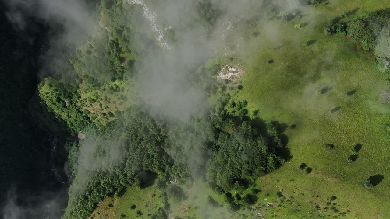 Aerial view of terrain with trees and water partially covered in fog The ground is green Rocks and streams are visible peaking through patches of white fog