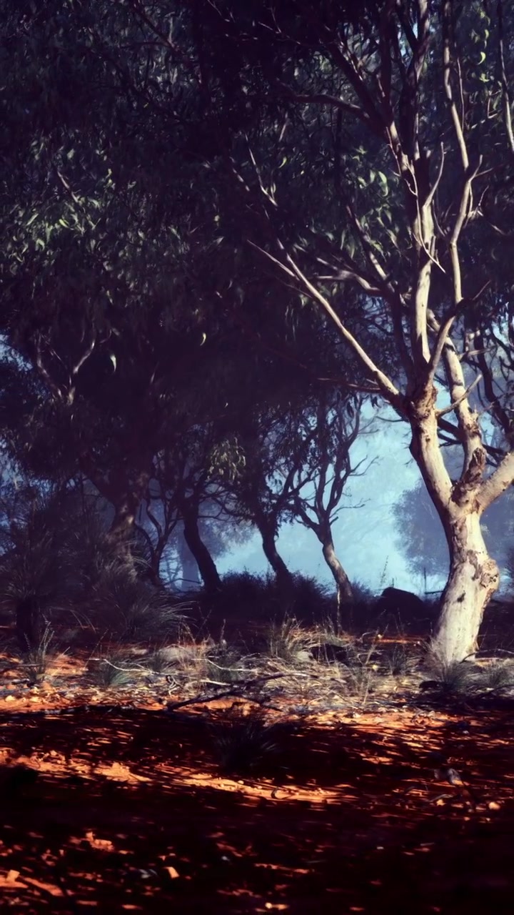 Scena boschiva con alberi al chiaro di luna di notte in una zona remota.