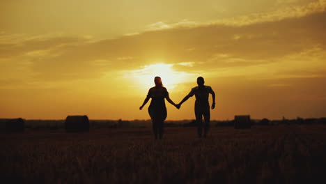 couple against beautiful sunset. happy couple walking on the field at the sunset