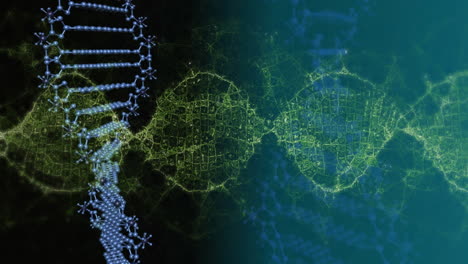 animation of dna strands spinning over dna strands spinning