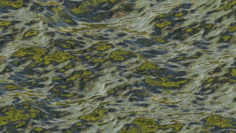 sea water surface. seamless loop