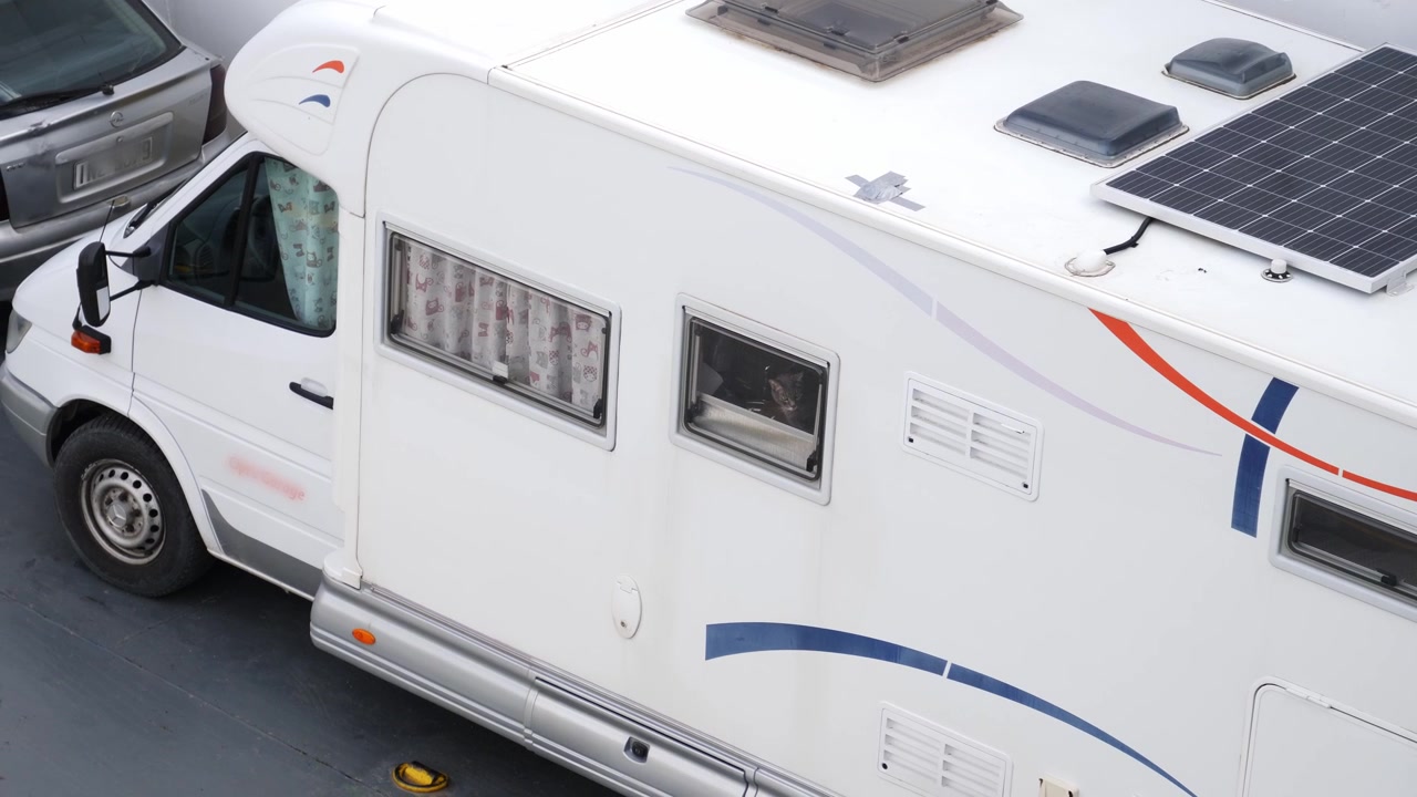 Ripresa dall'alto di un camper bianco parcheggiato sul ponte di un traghetto. Un gatto curioso guarda fuori dal finestrino laterale mentre il veicolo viaggia con un pannello solare sul tetto