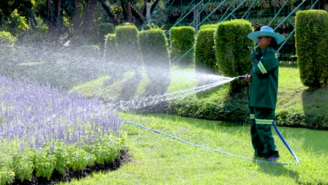 gardener watering flowers in a park