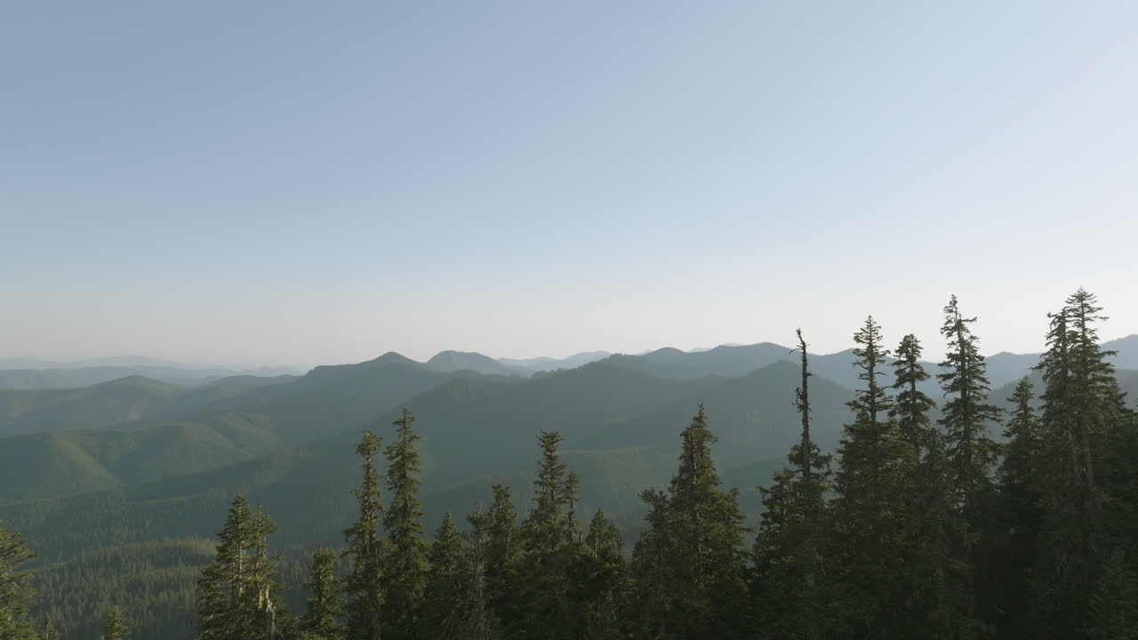Flying low over treetops of Gifford Pinchot National Forest, Washington State towards distant Cascade Mountain Range.