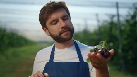 Fokussierter-Bauer-Hält-Obst-Auf-Der-Sommerlandwirtschaftsplantage.-Bauernhofkonzept.