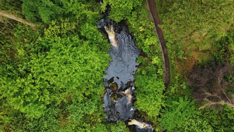 Vista-Aérea-De-La-Cascada---Río-En-El-Parque-Forestal-Glenariff,-Irlanda-Del-Norte---4k