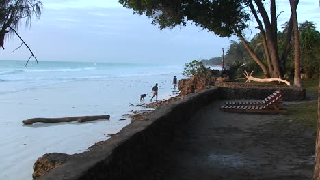 Zwei-Personen-Und-Ein-Hund-Gehen-Am-Strand-Entlang,-Während-Die-Wellen-Ans-Ufer-Rollen