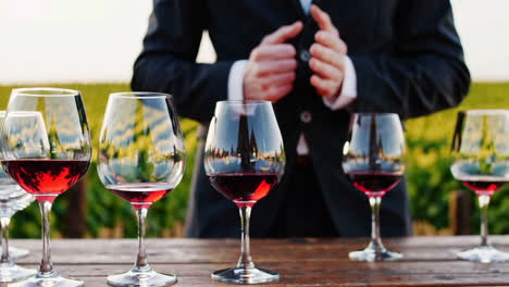 degustación de vino en un viñedo