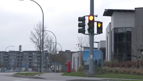 Traffic-light-on-red-in-residential-intersection-with-a-black-car-passing-across-the-frame