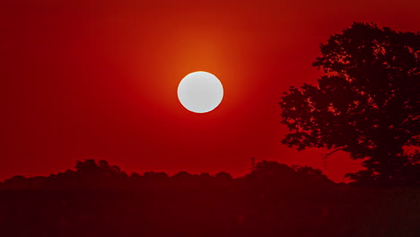 Sunrise-rising-sun-time-lapse-red-golden-big-bright-sun-moving-in-the-sky