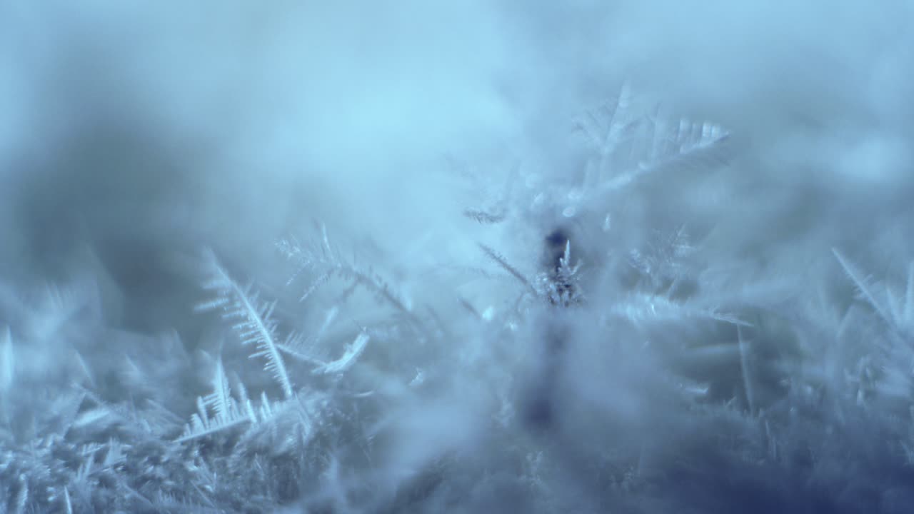 cristales de hielo de nieve en crecimiento a partir de vapor de agua sobresaturado en una base de hielo seco