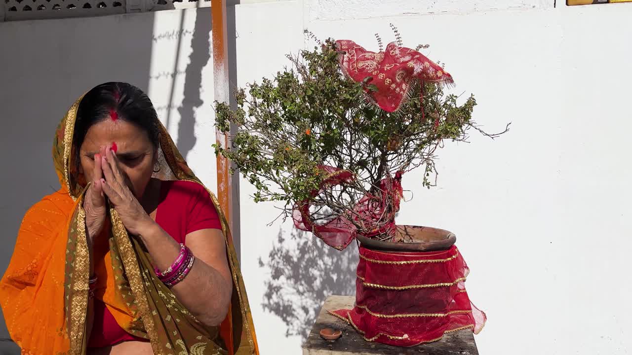 Donna indù che offre preghiere al dio del sole e alla sacra pianta di tulsi nel cortile di casa
