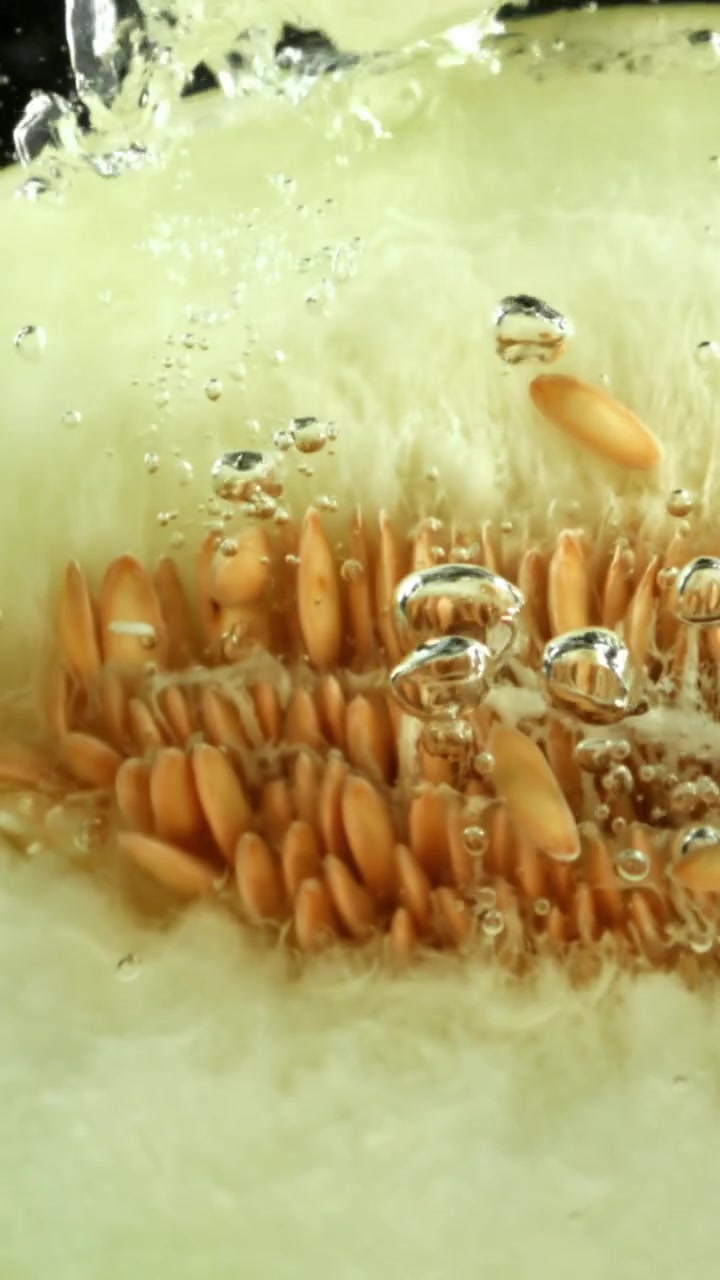 Macro Shot of Fresh Melon Slice with Seeds and Water Bubbles