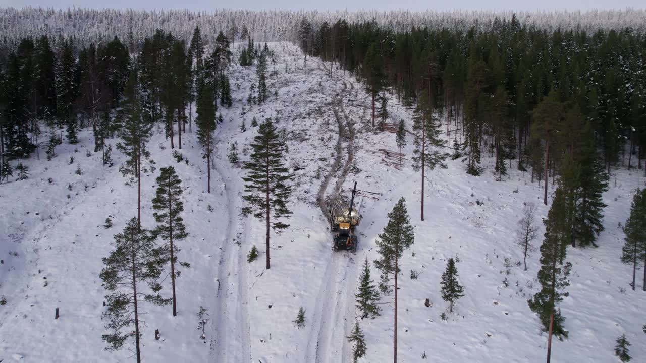 Un'abbattitrice forestale sta spostando il legname abbattuto durante l'inverno. I tronchi di pino raccolti vengono trasportati a valle dalla foresta di montagna per ulteriori lavorazioni con attrezzature avanzate.