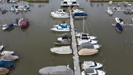 embarcaciones de lujo en muelle en club privado