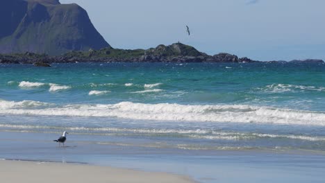 Beach-Lofoten-islands-is-an-archipelago-in-the-county-of-Nordland,-Norway.