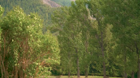 Von-Großen-Heuballen-Auf-Einem-Familienbauernhof-Zu-Den-Hohen-Berggipfeln-über-Barcelonnette,-Frankreich