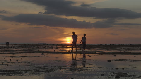 silhouette of kids catching fish in a low tide beach sunset 4k