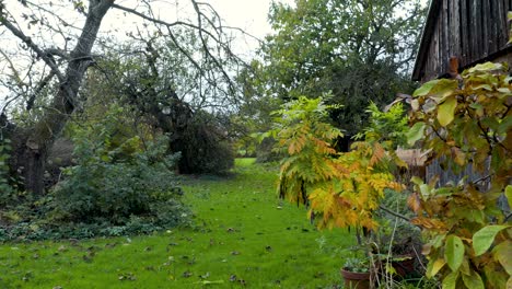 reveal shot from behind a bush to lawn pathway