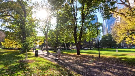 person walking with stroller in sunny park