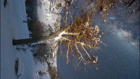 árbol-Sin-Hojas-En-El-Punto-Focal-Mientras-El-Cielo-Estrellado-De-La-Vía-Láctea-Se-Arremolina-Arriba,-Vertical